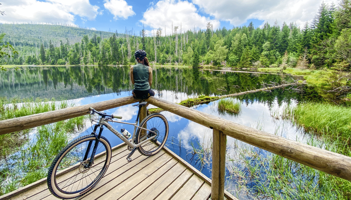 Bild Bike im Wald im Glashotel