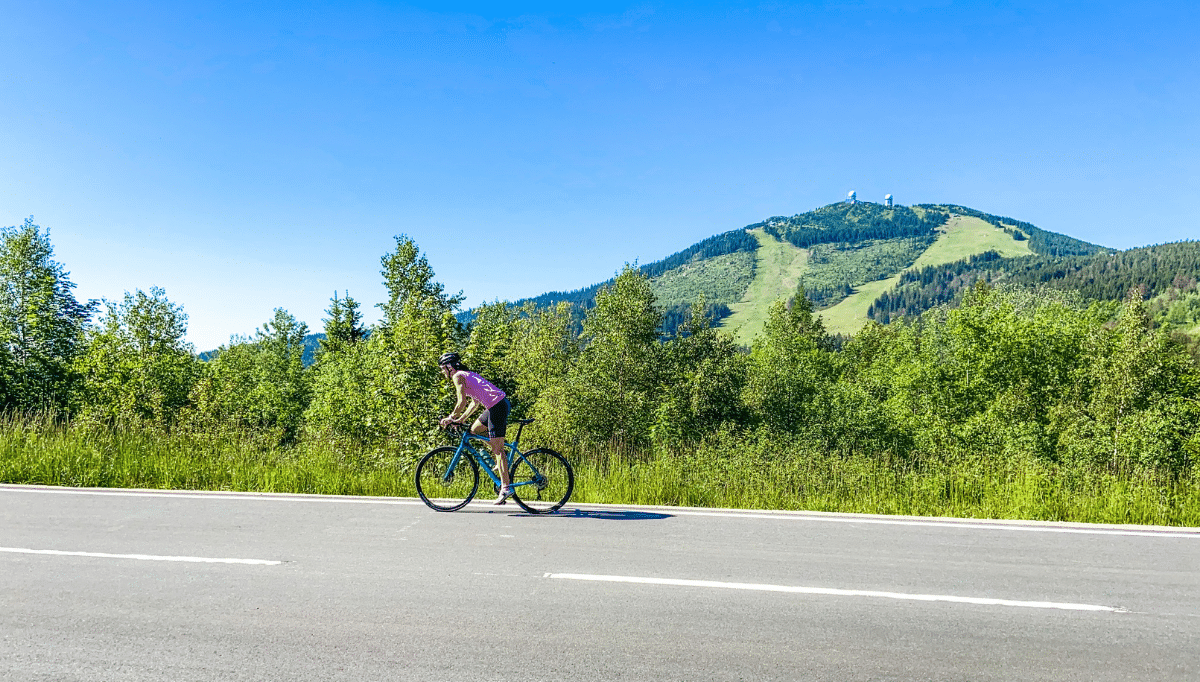 Bild Bike im Wald im Glashotel