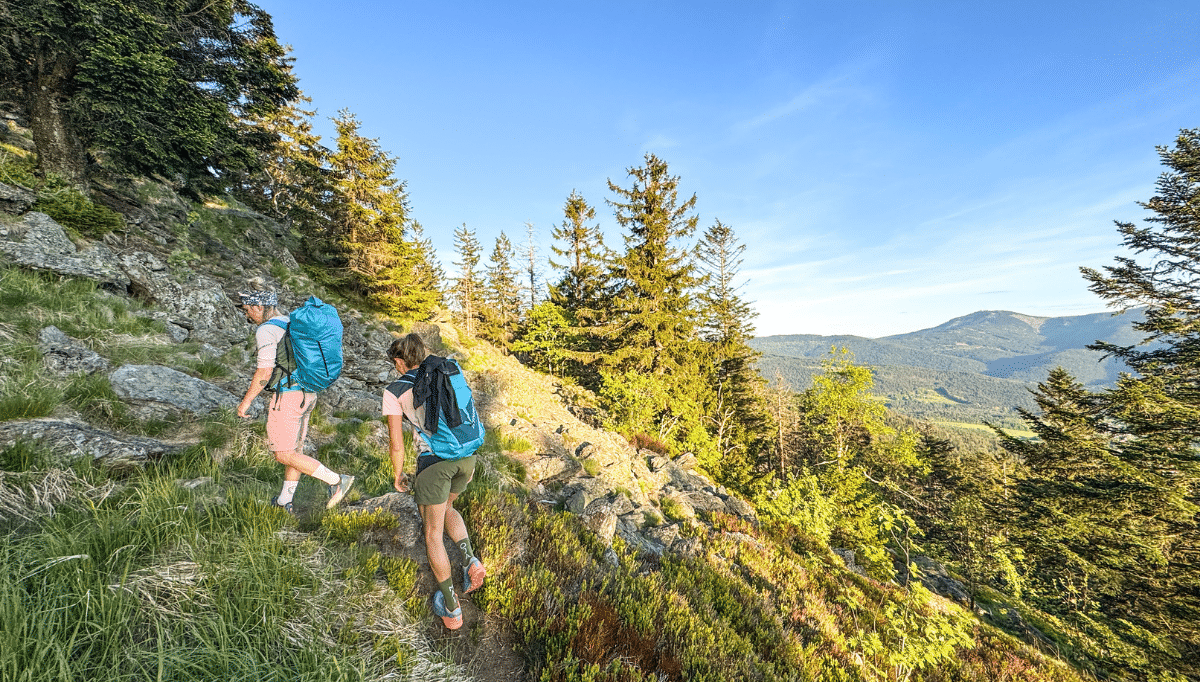 Bild Aktiv im Sommer im Glashotel