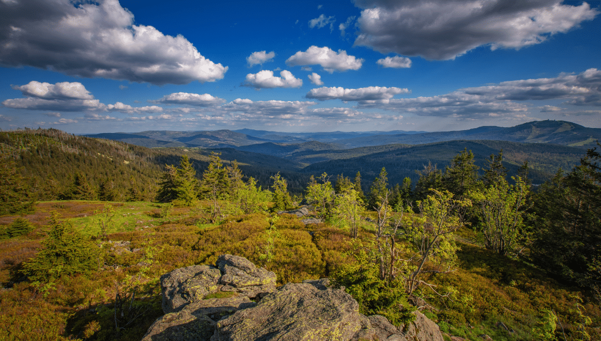 Bild Aktiv im Sommer im Glashotel
