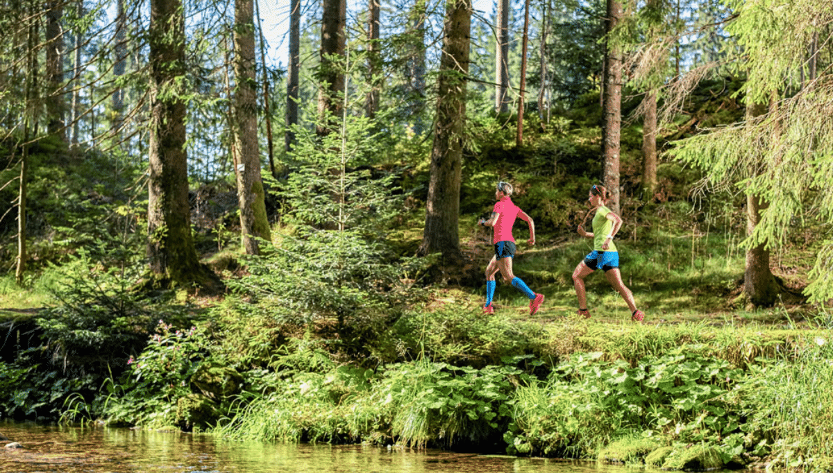 Bild Outdoor Laufen im Glashotel