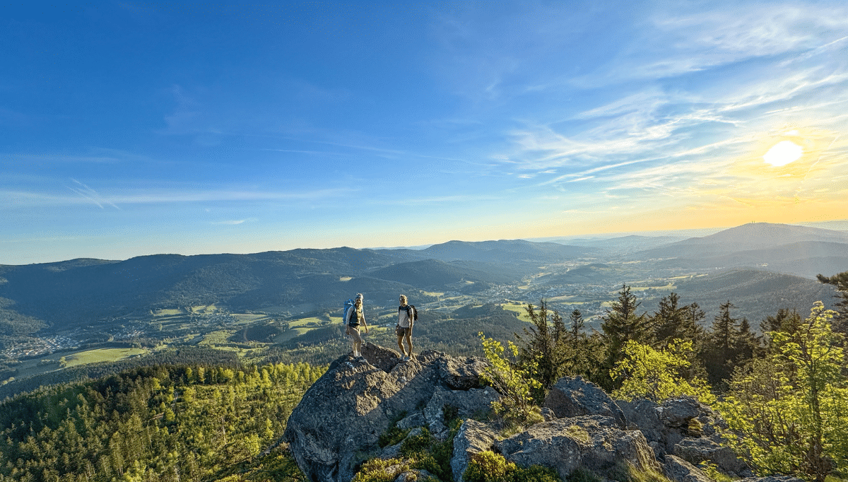 Bild Woidlife im Glashotel
