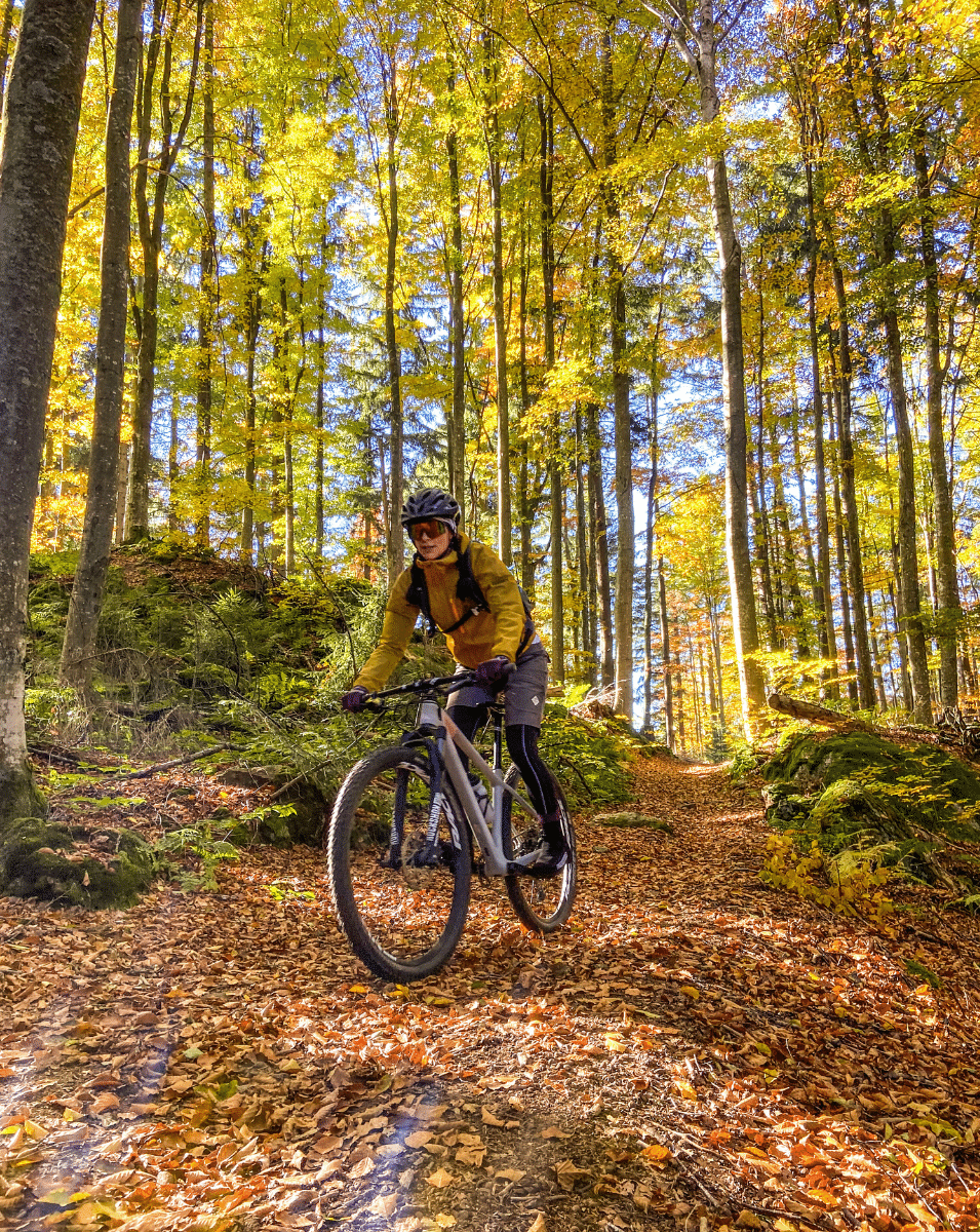 Bild Fahrradfahren im Glashotel