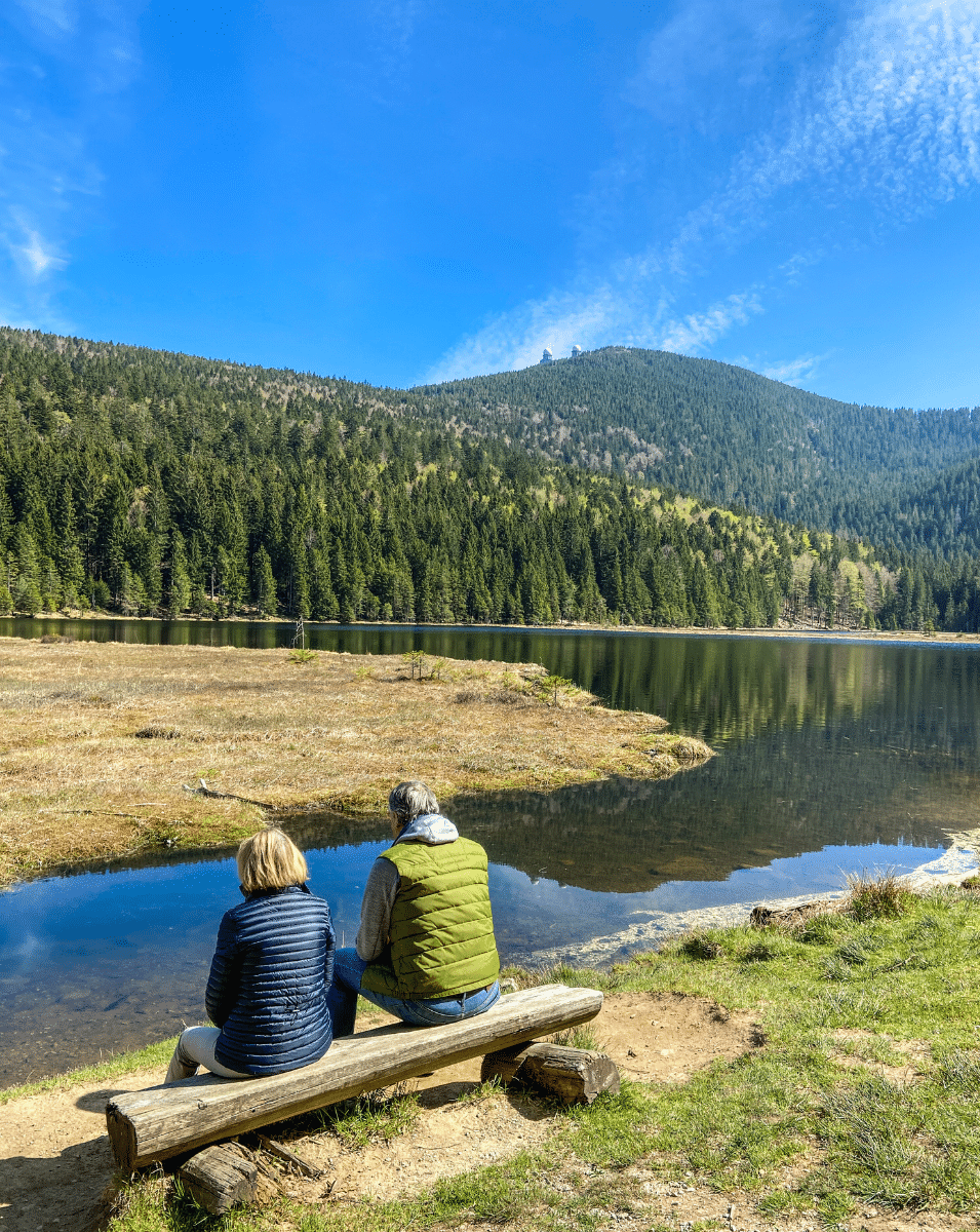 Bild Aktiv im Sommer im Glashotel